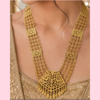 Traditional Bridal Long Necklace Set with tikka